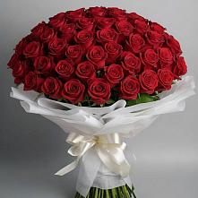 Букет 101 Красная роза Блэк Мэджик #REPLACE_PRED# Ленинградской
