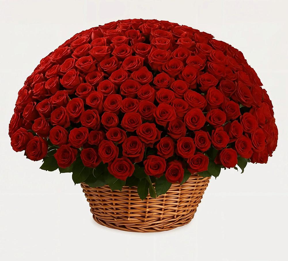 Премиум букет из: Розы в Ленинградской