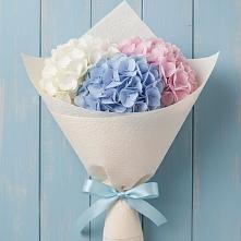 Букет цветов из:  Гортензия #REPLACE_PRED# Ленинградской