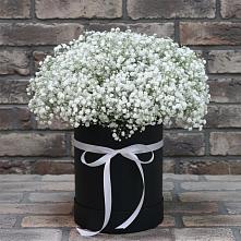 Цветочная композиция из Гипсофила в шляпной коробке в Ленинградской